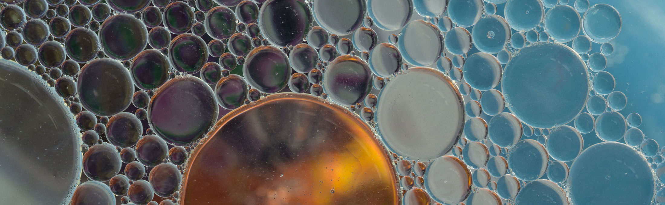 Default product header